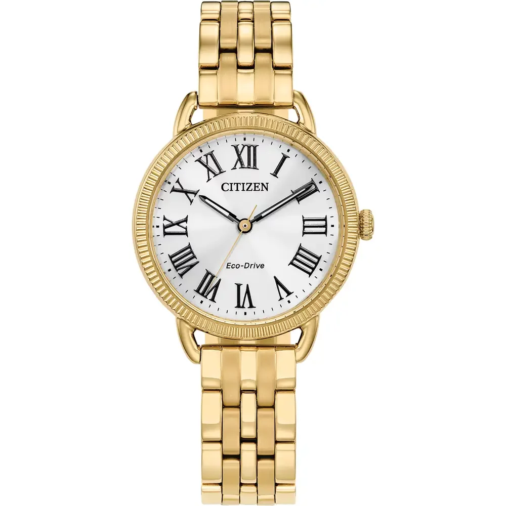 Citizen Watch